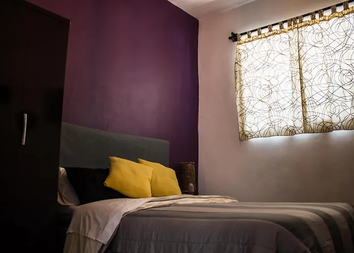 Guest house Zona Rosa *